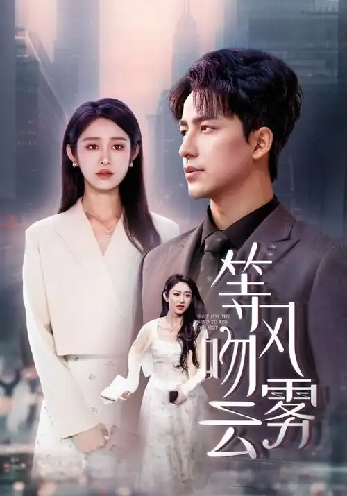 律师本色